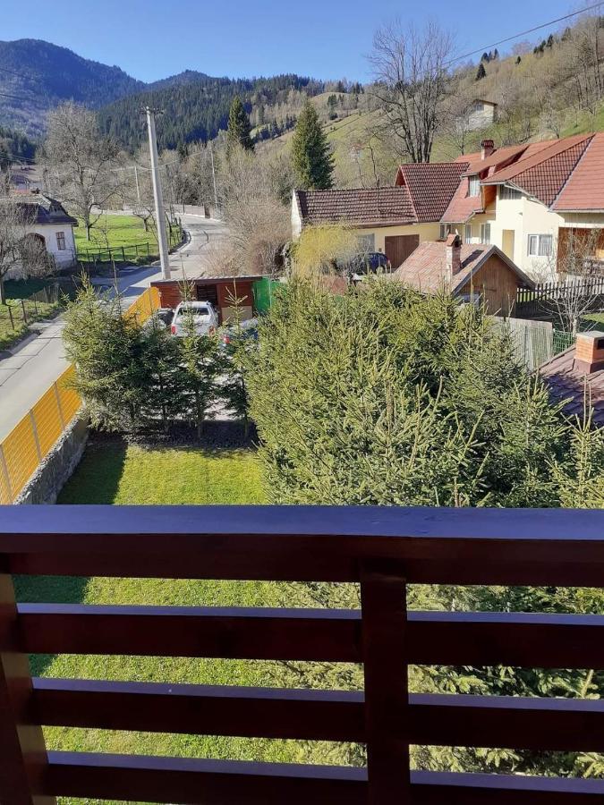 Pensiunea Antonio Bran Bran  Exteriér fotografie