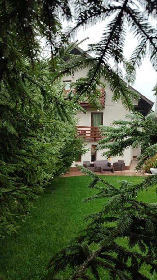 Pensiunea Antonio Bran Bran  Exteriér fotografie