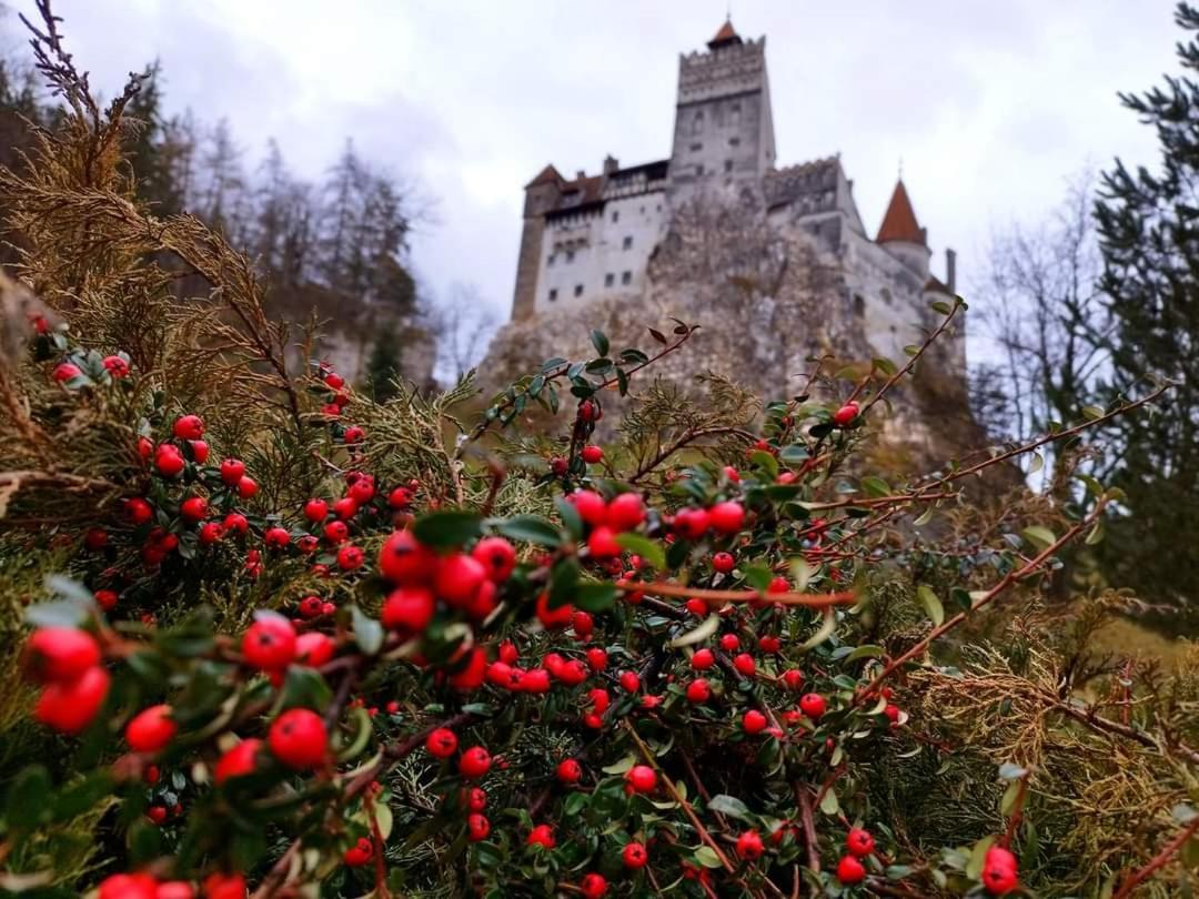 Pensiunea Antonio Bran Bran  Exteriér fotografie