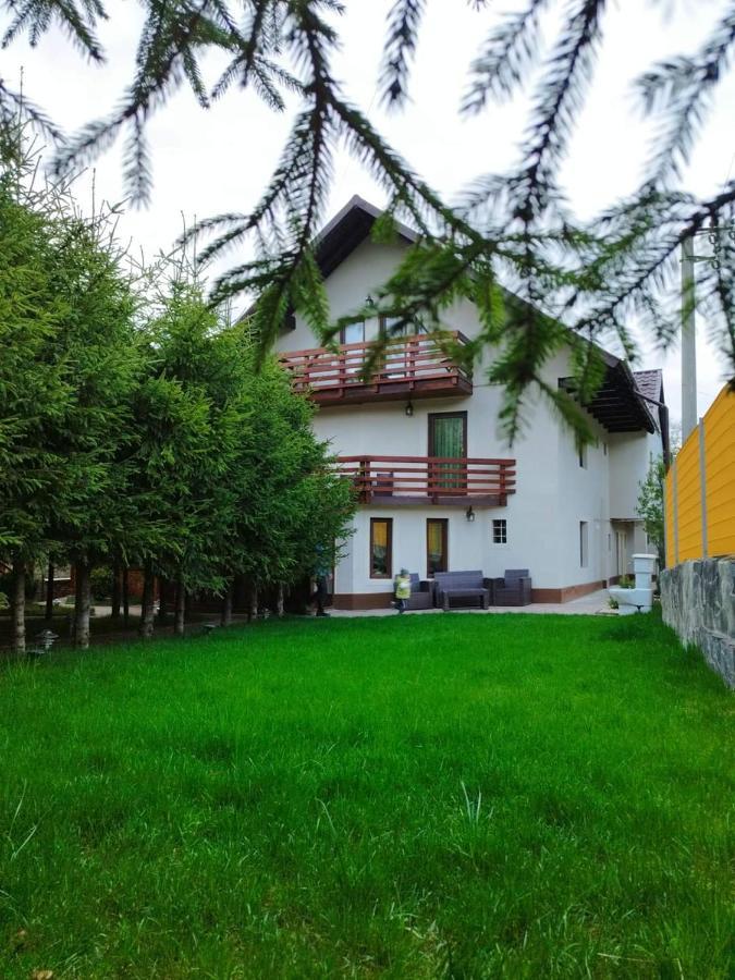 Pensiunea Antonio Bran Bran  Exteriér fotografie