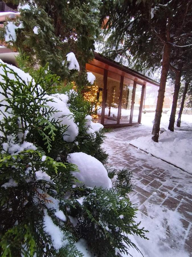 Pensiunea Antonio Bran Bran  Exteriér fotografie
